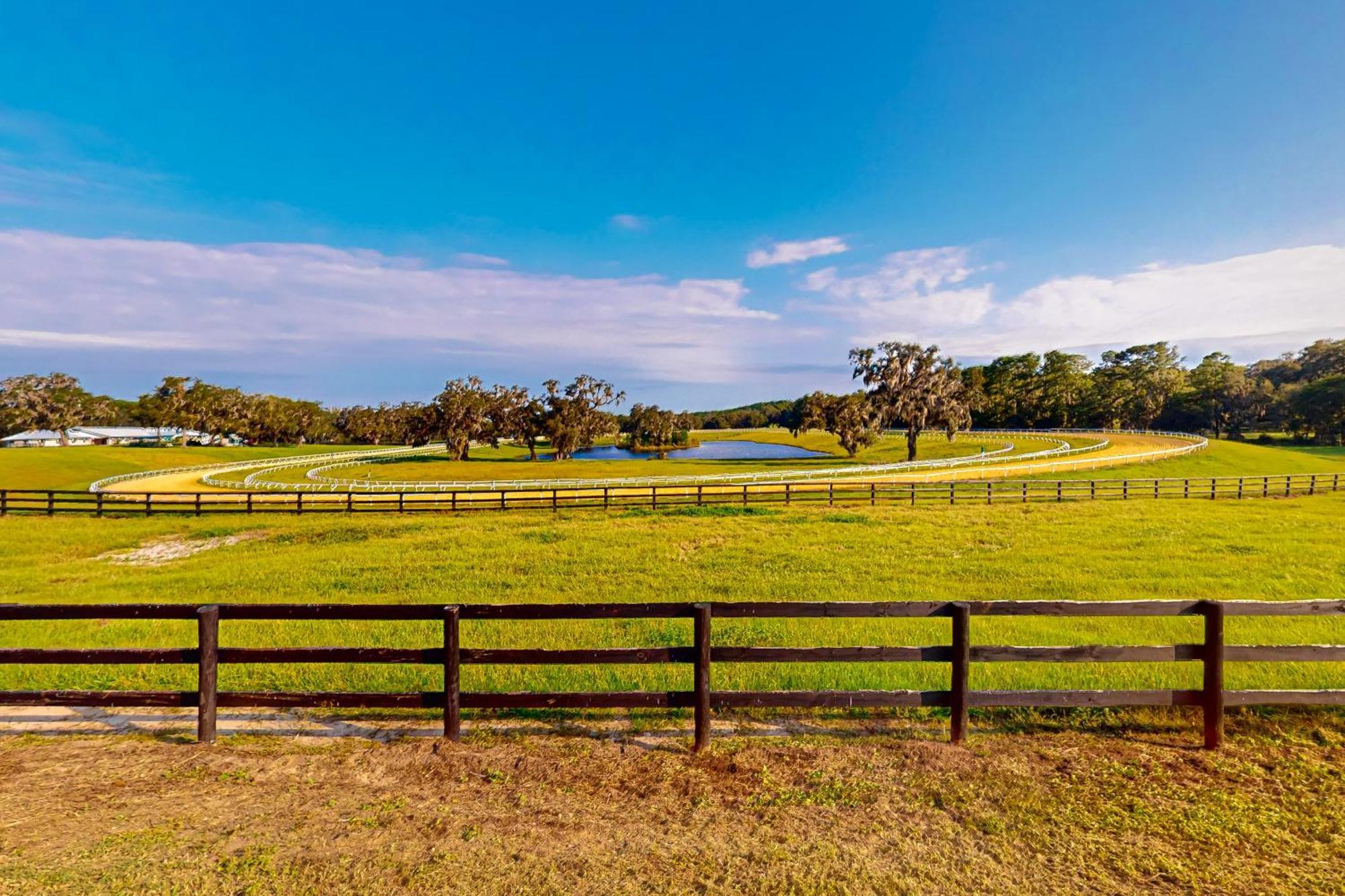 Two Springs Farm Guesthouse A Micanopy Esterno foto